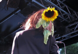 Patti Smith Group, Live in Zurich, October 1976